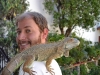 Con mi iguana, Godzi