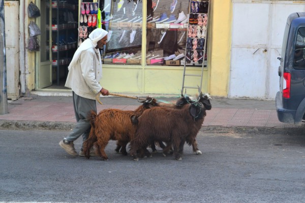 El particular estilo de vida en las calles de Mardin