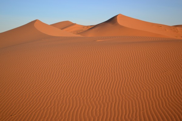 Las tradicionales líneas dibujadas en el desierto