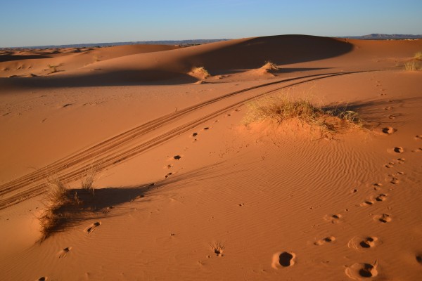 Amanecer en el Sahara
